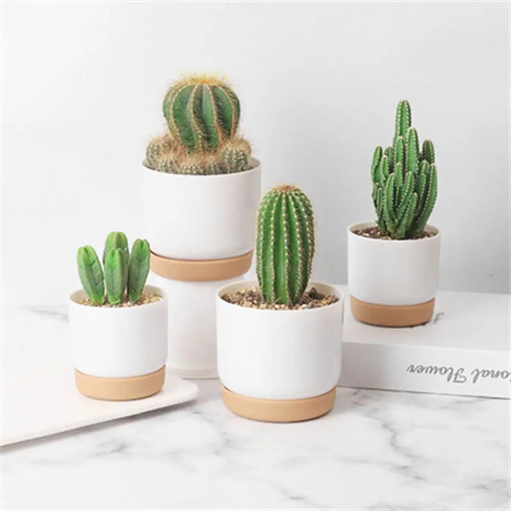 Classic Plastic Flower Pot with Double-Layer Water Storage Tray