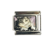 DIY Cartoon Cat Italian Charm Links for Stainless Steel Bracelets – Trendy Modular Jewelry Accessories