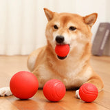 Durable Rubber Dog Ball – Non-Toxic Chew Toy for Training and Interactive Play