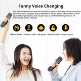Portable Bluetooth Karaoke Speaker with Dual Microphones and 3D Surround Sound
