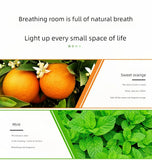 Aceites esenciales de 10 ml para difusores y humidificadores: set de aromaterapia con lavanda, rosa, eucalipto y más