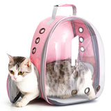 Transparent Capsule Cat Carrier Backpack – Breathable Travel Bag for Small Pets