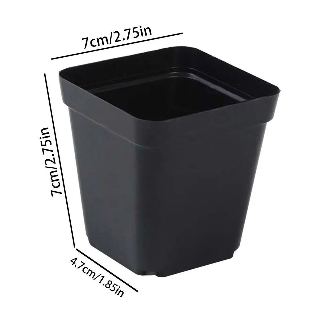 50-Pack Square Seedling Pots - Reusable Deep Nursery Planters for Indoor/Outdoor Gardening