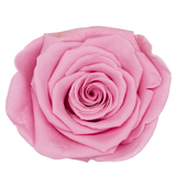 B Grade 4-5cm Preserved Roses Preserved Flower Fresh Natural Real Eternal Rose Immortal Rose Flowers Florist DIY Floral Material