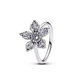 Elegant Unisex Zircon Silver Ring – Timeless Design for Daily Wear & Special Occasions