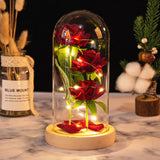 Eternal Rose in Glass Dome with LED Lights - Romantic Gift for Women