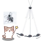 Interactive Hanging Cat Toy with Door Frame Hook – Stimulating Play for Indoor Cats