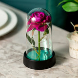Eternal Rose in Glass Dome with LED Lights - Romantic Valentine's Day Gift