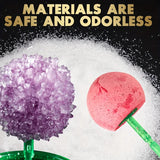 DIY Crystal Flower Growing Kit - STEM Science Experiment for Kids