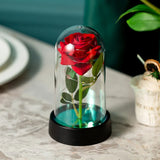 Eternal Rose in Glass Dome with LED Lights - Romantic Valentine's Day Gift
