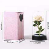 Eternal Galaxy Rose in Glass Dome - Colorful LED Flower Gift for Valentine's Day