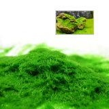 Césped estático en polvo de 3 mm, material de nailon para flocado, para construir modelos de mesas de arena, maquetas, maquetas, dioramas, 30 g/60 g