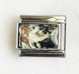 DIY Cartoon Cat Italian Charm Links for Stainless Steel Bracelets – Trendy Modular Jewelry Accessories