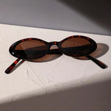2024 Women’s Small Oval Sunglasses – Retro Designer Shades with UV400 Protection