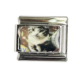 DIY Cartoon Cat Italian Charm Links for Stainless Steel Bracelets – Trendy Modular Jewelry Accessories