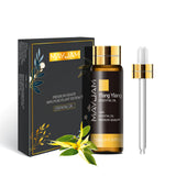 Pure Aromatherapy Essential Oil for Diffusers and Natural Wellness