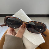 Women’s Retro Oval Sunglasses – Stylish UV400 Fashion Shades for Casual & Outdoor Wear