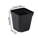 50-Pack Square Seedling Pots - Reusable Deep Nursery Planters for Indoor/Outdoor Gardening