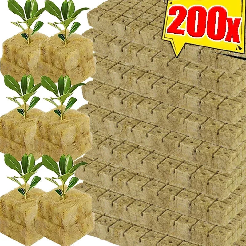 50pc Sponge Block Starter Plugs - Hydroponic Grow Cubes for Seed Starting & Plant Propagation