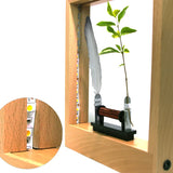Slow Motion Optical Illusion Photo Frame – Pine Wood Display for Real-Time Motion Effects