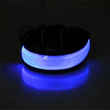 USB Rechargeable LED Dog Collar – Adjustable Flashing Night Light for All Sizes