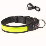 USB Rechargeable LED Dog Collar – Adjustable Flashing Night Light for All Sizes