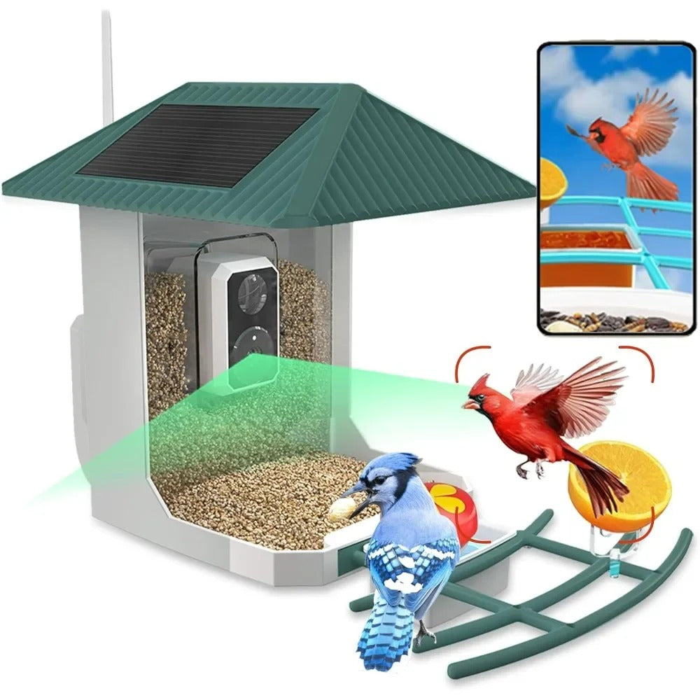 Comedero inteligente para pájaros: cámara HD de 2,5 K, identificador de aves con inteligencia artificial y panel solar