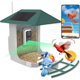 Comedero inteligente para pájaros: cámara HD de 2,5 K, identificador de aves con inteligencia artificial y panel solar