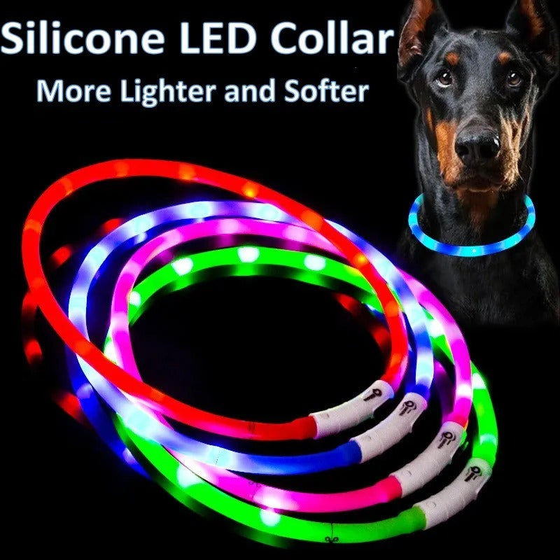 Collar para perros con luz LED recargable por USB: collar de seguridad que brilla por la noche