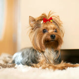 200PCS Dog and Cat Hair Bows - Handmade Puppy Accessories with Rubber Band