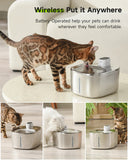 4L Wireless Cat Water Fountain – Automatic Pet Drinking Dispenser with Sensor