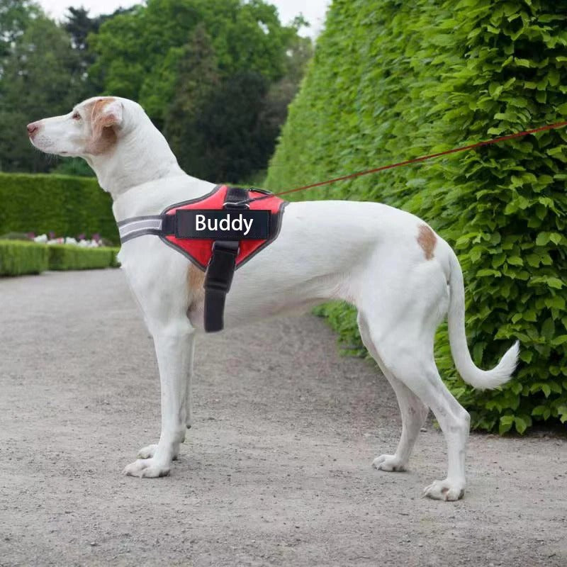 Arnés reflectante personalizado para perros: chaleco ajustable con parche personalizado para todas las razas