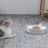 Adjustable Double Pet Feeder Bowls – Elevated Food & Water Dish for Cats & Dogs
