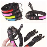 USB Rechargeable LED Dog Collar – Adjustable Flashing Night Light for All Sizes