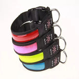 USB Rechargeable LED Dog Collar – Adjustable Flashing Night Light for All Sizes