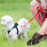 Leak-Proof Dog Poop Bags – Extra Thick, Durable & Eco-Friendly