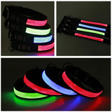 USB Rechargeable LED Dog Collar – Adjustable Flashing Night Light for All Sizes