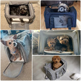 Airline-Approved Pet Carrier Backpack – Soft-Sided Travel Bag for Small Dogs & Cats