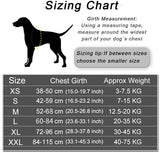 Personalized Reflective Dog Harness – Adjustable Vest with Custom Patch for All Breeds