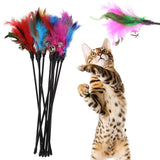 Interactive Cat Teaser Wand Set – Feather & Bell Toys for Fun Playtime (5pcs/10pcs)