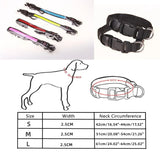 USB Rechargeable LED Dog Collar – Adjustable Flashing Night Light for All Sizes