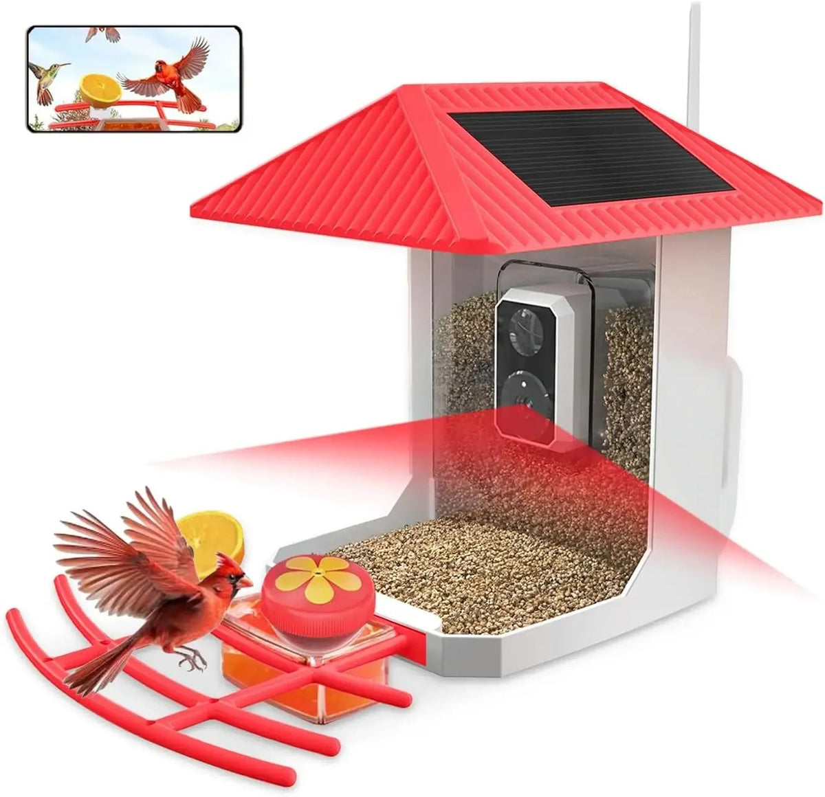 Comedero inteligente para pájaros: cámara HD de 2,5 K, identificador de aves con inteligencia artificial y panel solar