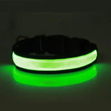 USB Rechargeable LED Dog Collar – Adjustable Flashing Night Light for All Sizes