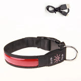 USB Rechargeable LED Dog Collar – Adjustable Flashing Night Light for All Sizes