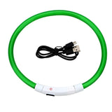 USB Rechargeable LED Dog Collar – Glowing Night Safety Collar
