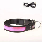 USB Rechargeable LED Dog Collar – Adjustable Flashing Night Light for All Sizes